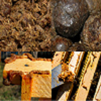 Propolis (Net:100 gram)