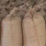 Levant kalite kabuklu fındık (Net: 50 Kilogram)