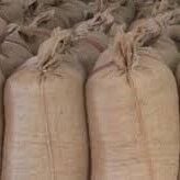 Levant kalite kabuklu fındık (Net: 50 Kilogram)